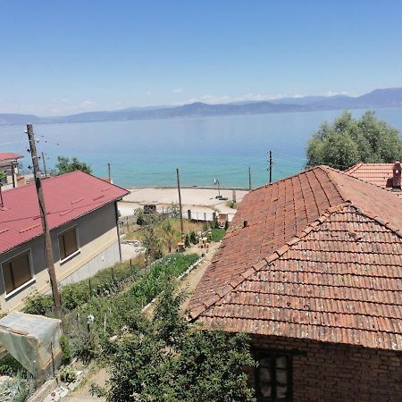 Villa Shine Struga Exterior photo
