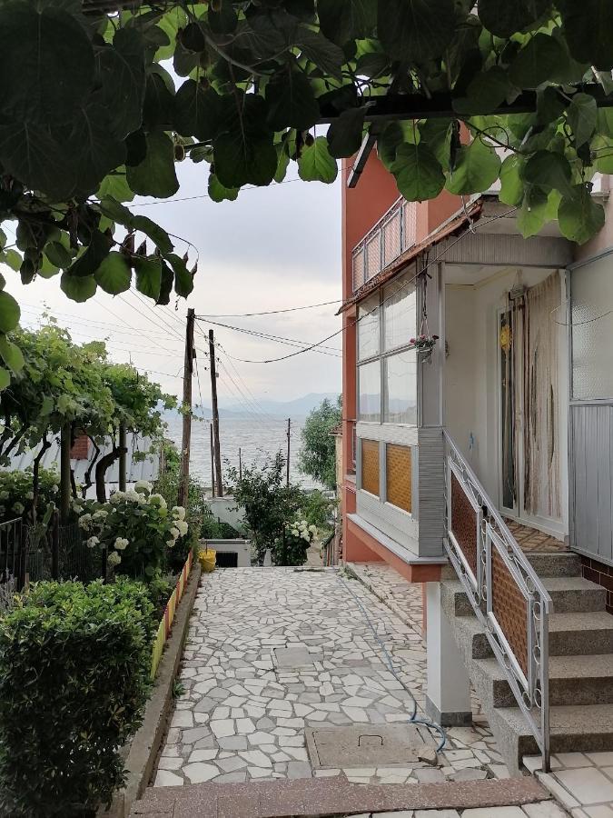 Villa Shine Struga Exterior photo
