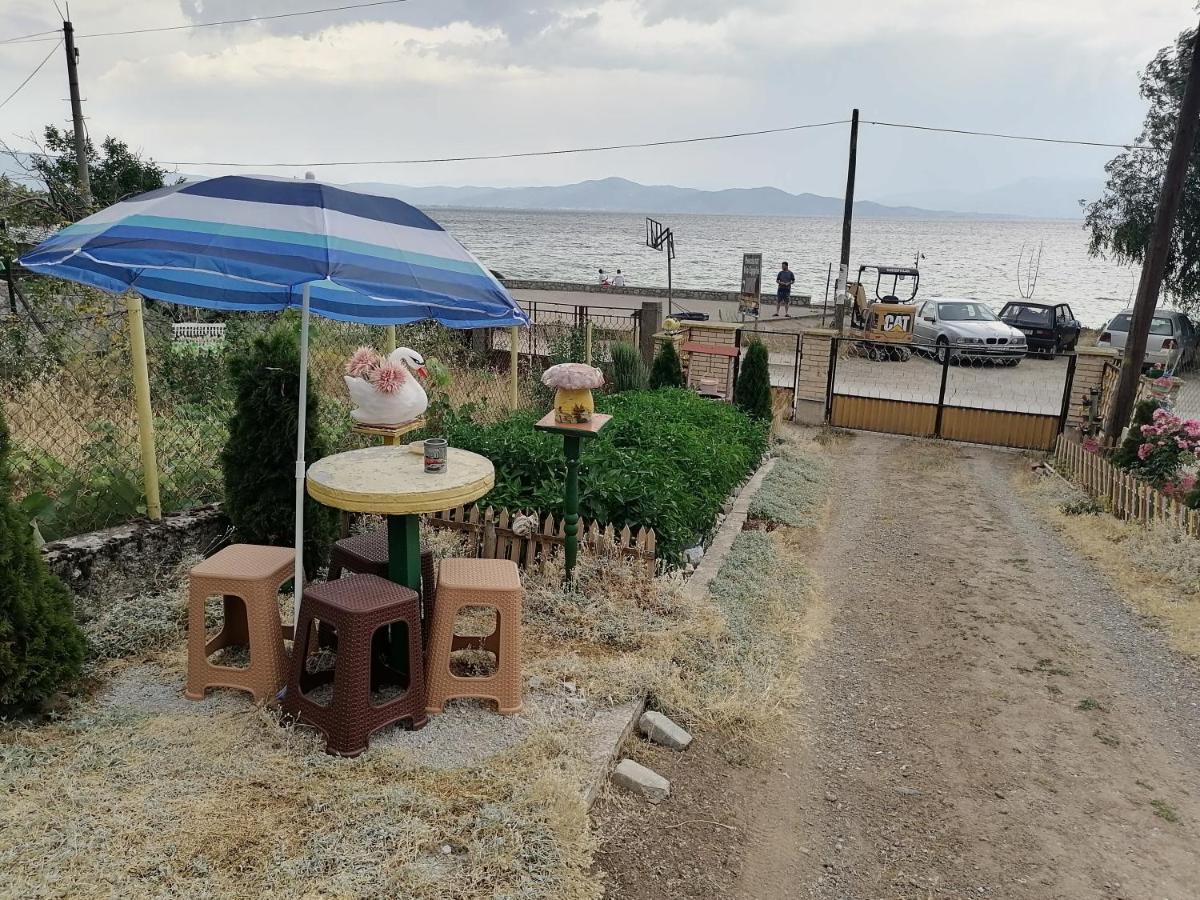 Villa Shine Struga Exterior photo